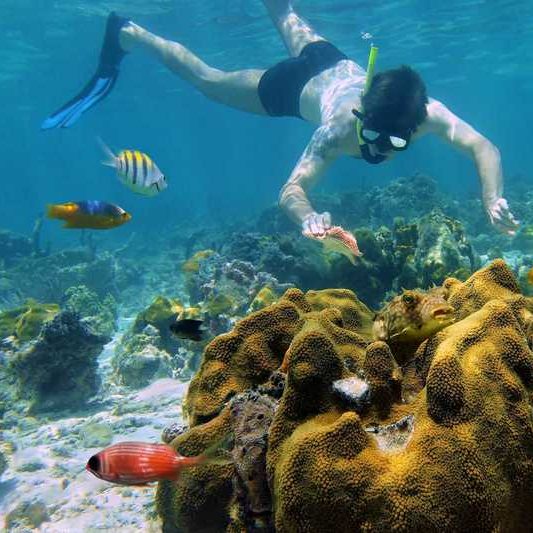 Nosy Tanikely: “Une réserve marine réputée pour ses récifs coralliens et sa vie marine abondante. Parfait pour le snorkeling et l’aventure.”